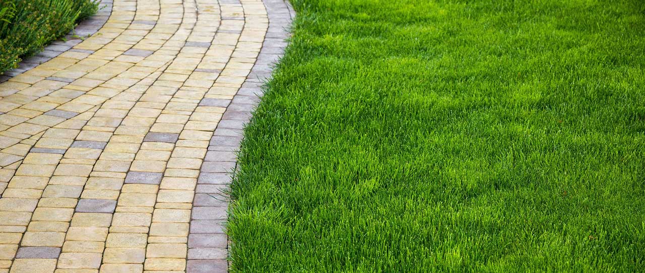 Brick pathway winding through a green lawn